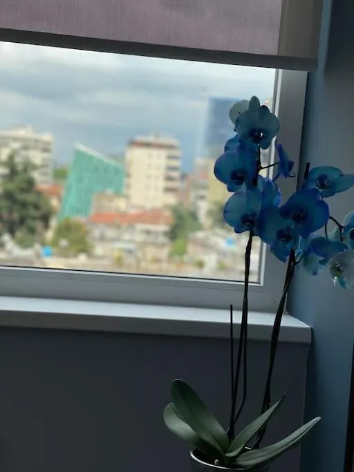 Voyage Penthouse Apartment Tirana Albania